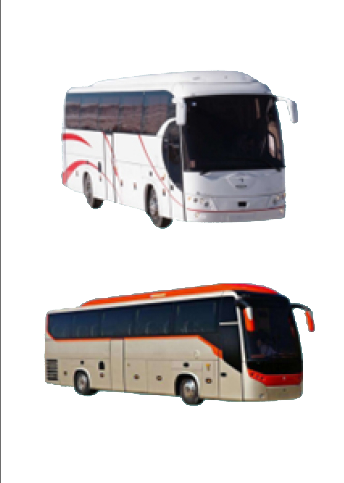 دستیابی به 95 درصد سهم بازار